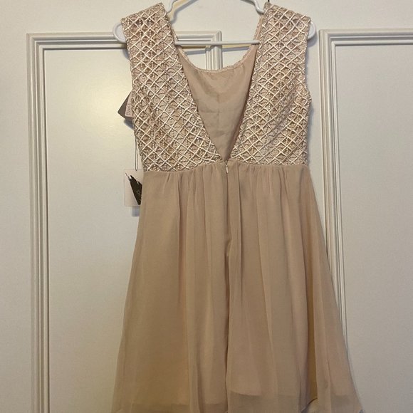 NWT Beige Lace Dress with Deep V Back - Picture 3 of 4